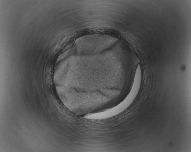 X0000116551060200912311907