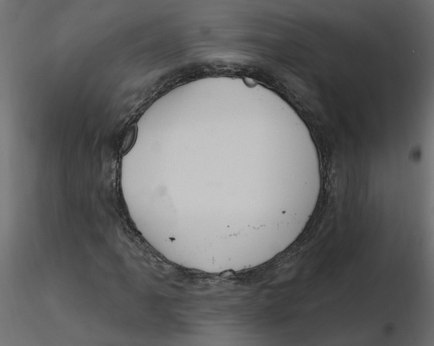 X0000116551061200912311907