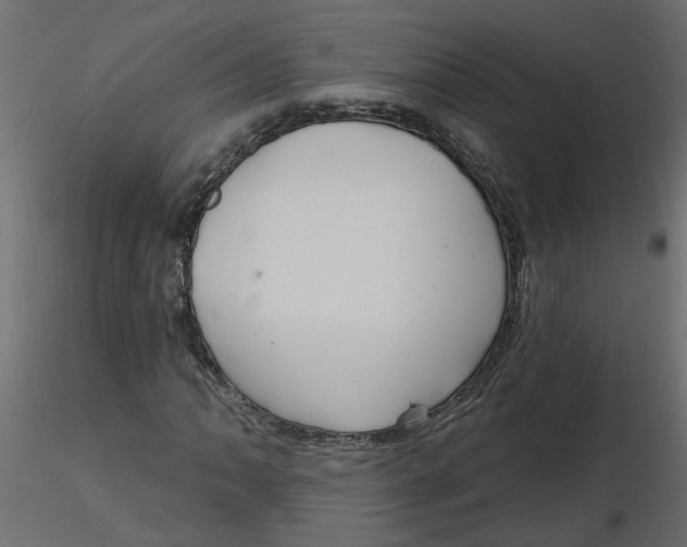 X0000116551062200912311907