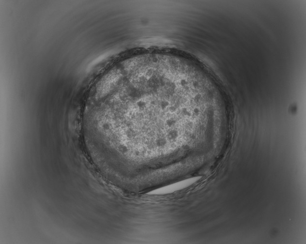 X0000116551063200912311907