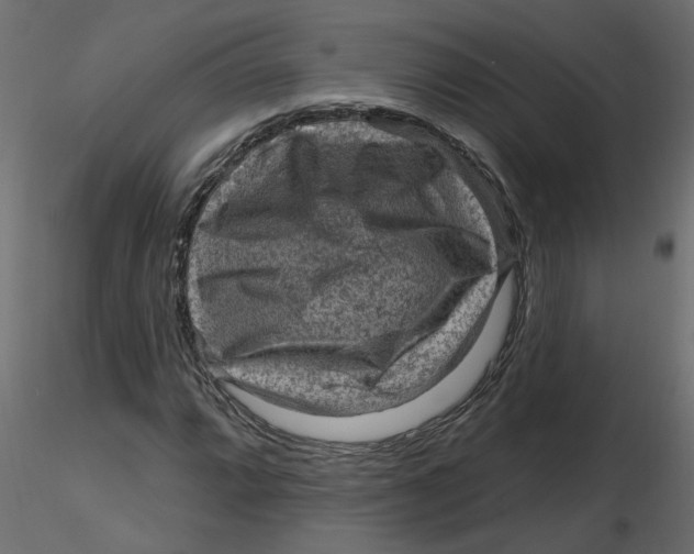 X0000116551064200912311907