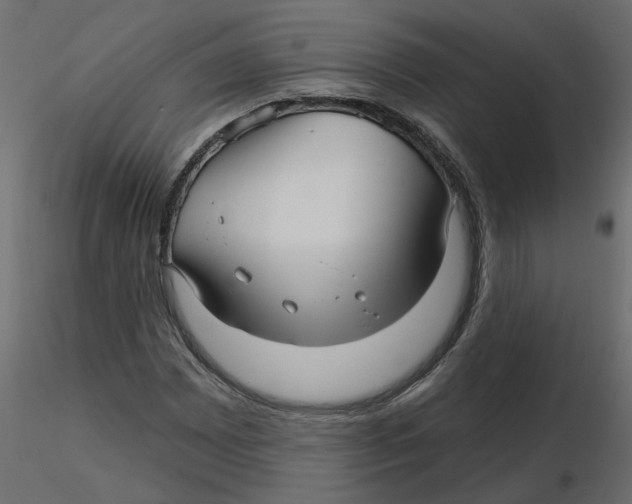 X0000116551065200912311907