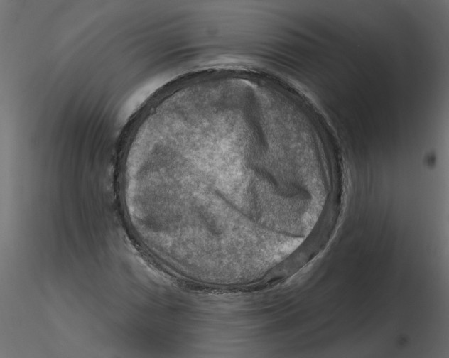 X0000116551066200912311907