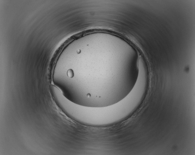 X0000116551068200912311907