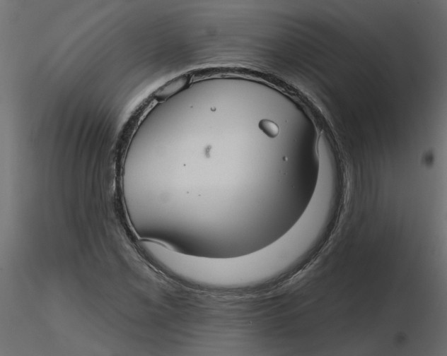 X0000116551069200912311907