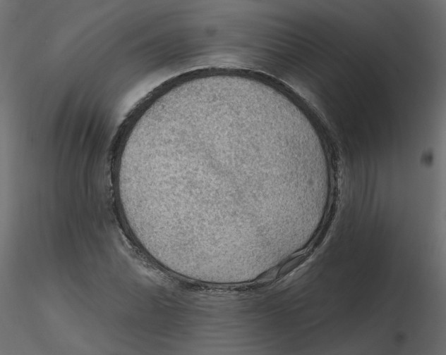 X0000116551070200912311907