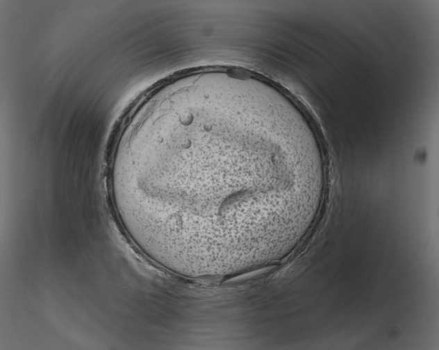 X0000116551072200912311907