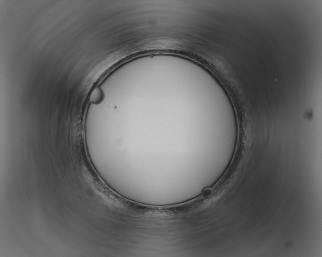 X0000116551073200912311907