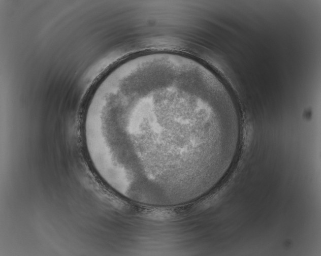 X0000116551074200912311907