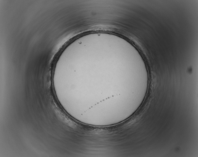 X0000116551075200912311907