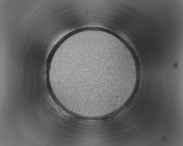 X0000116551076200912311907