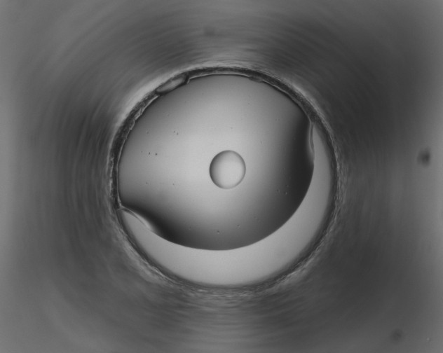 X0000116551077200912311907