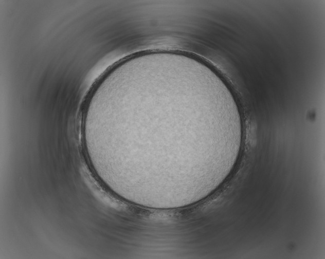 X0000116551078200912311907