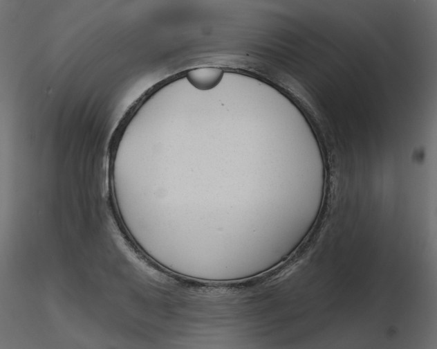 X0000116551079200912311906