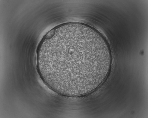 X0000116551080200912311906