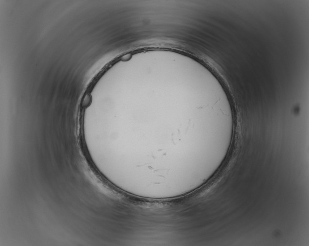 X0000116551082200912311906