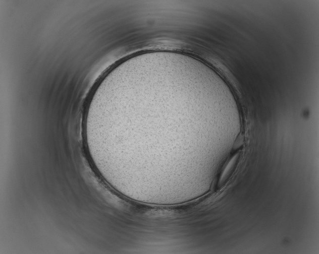 X0000116551083200912311906