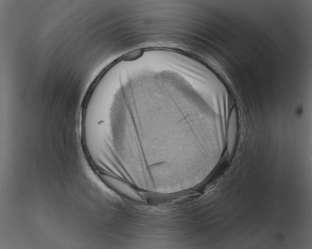 X0000116551084200912311906