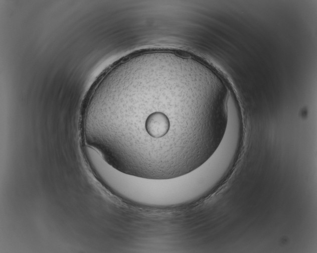 X0000116551085200912311906