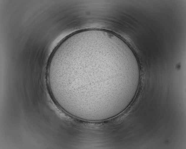 X0000116551086200912311906