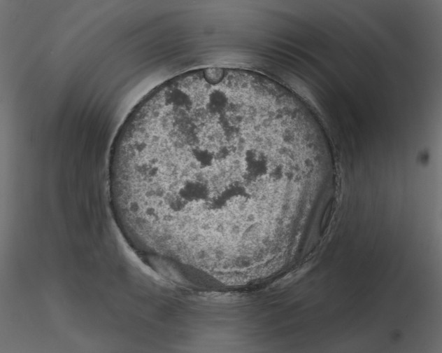 X0000116551087200912311906