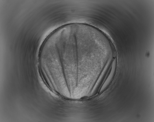 X0000116551088200912311906