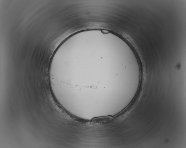 X0000116551089200912311906