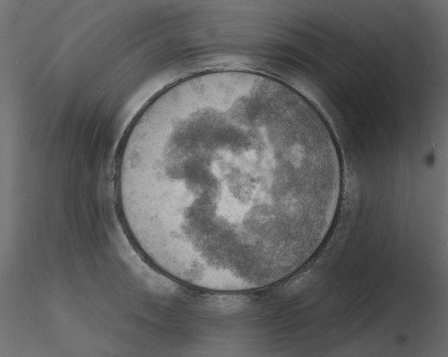 X0000116551090200912311906