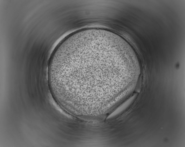 X0000116551092200912311906