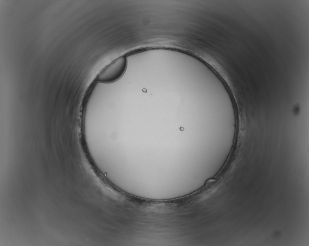 X0000116551093200912311906