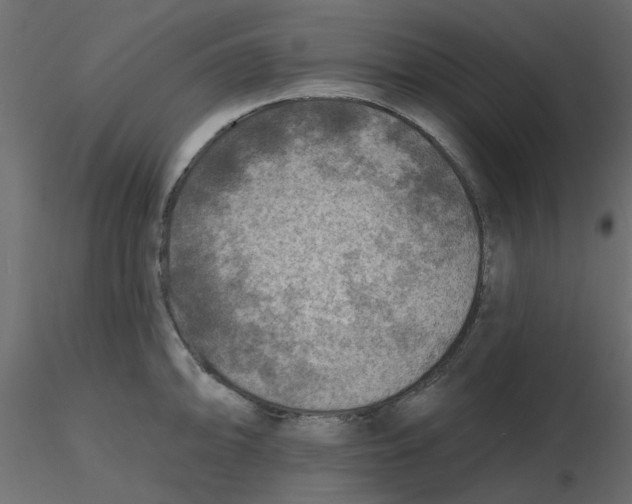 X0000116551094200912311906