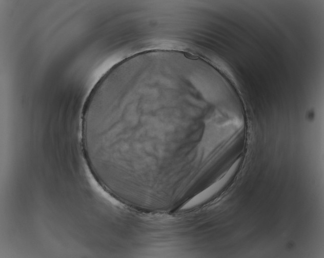 X0000116551095200912311906