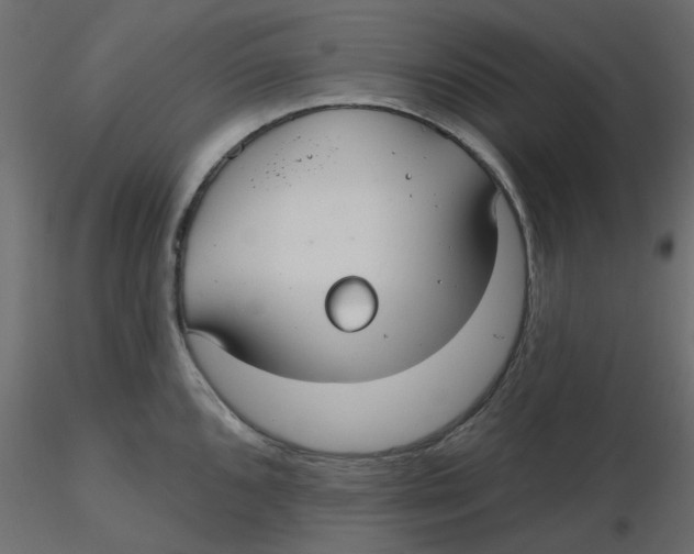 X0000116551096200912311906