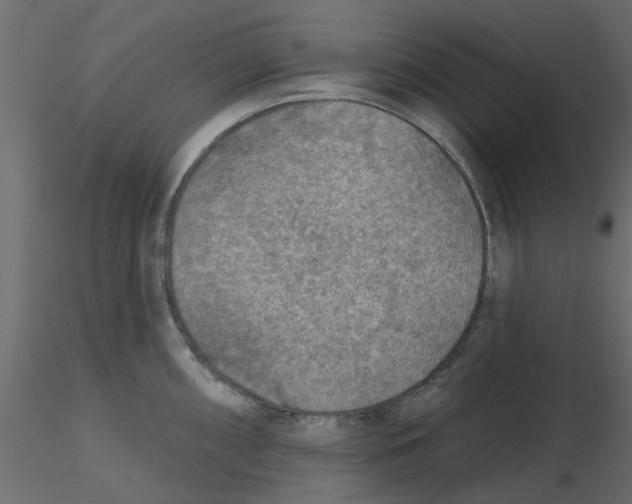 X0000116551098200912311906