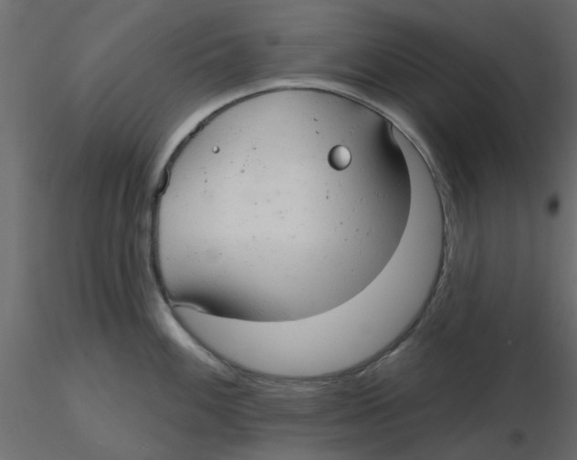 X0000116551100200912311906