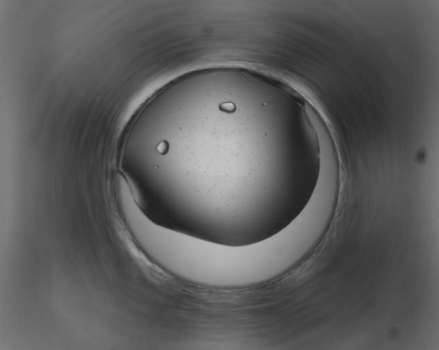 X0000116551101200912311906