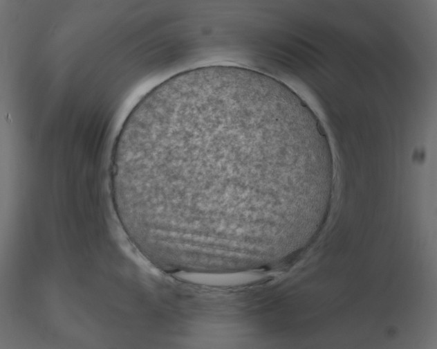 X0000116551104200912311906