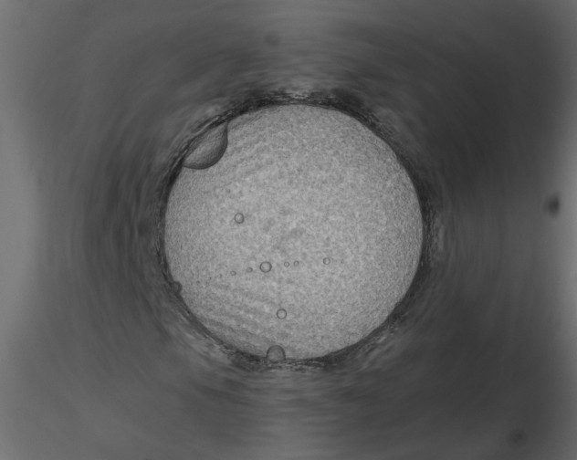 X0000116551105200912311906