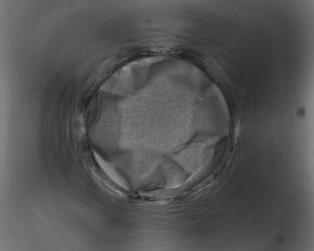 X0000116551106200912311906