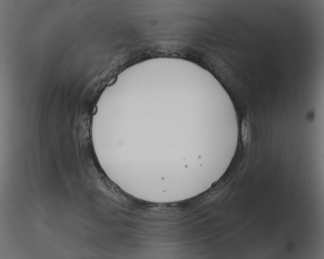 X0000116551107200912311906