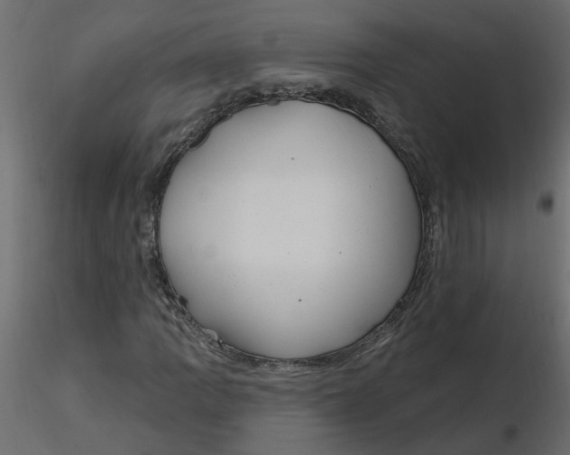 X0000116551109200912311906