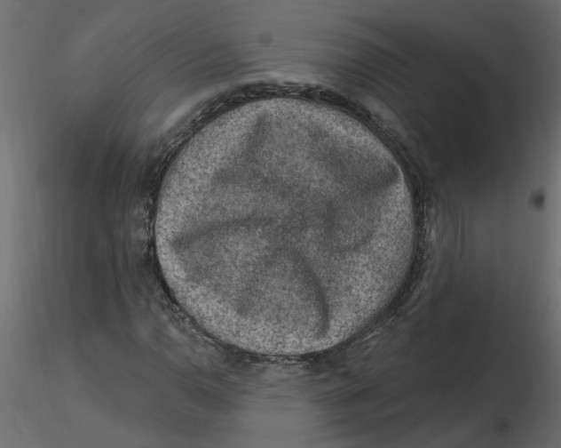 X0000116551110200912311906