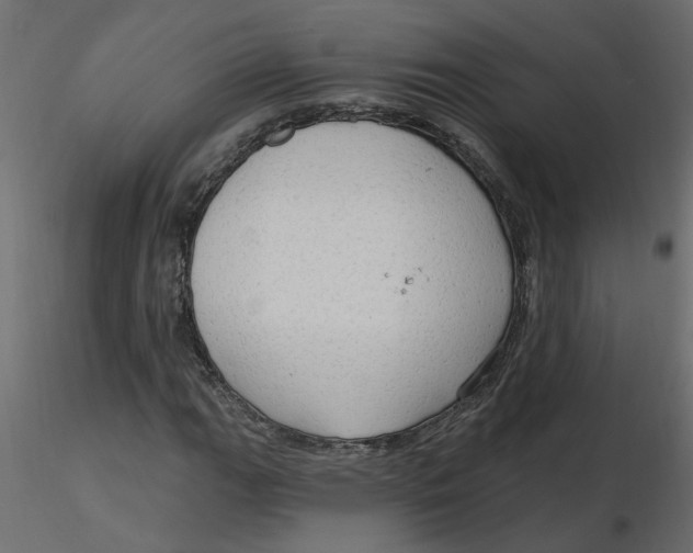 X0000116551111200912311906