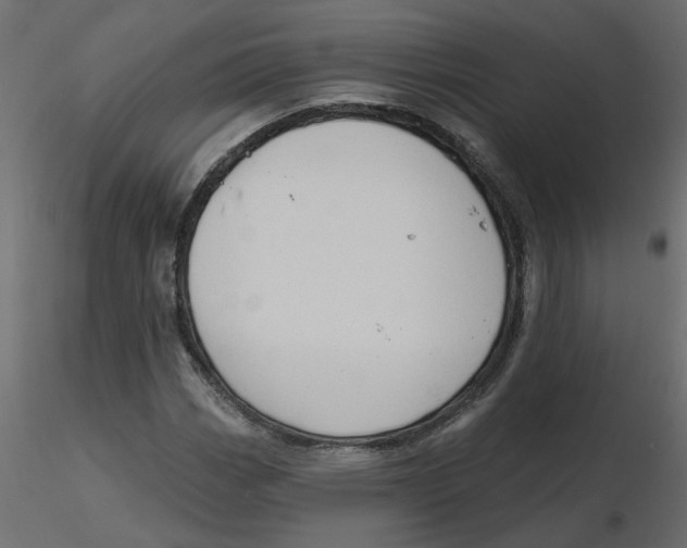 X0000116551113200912311906