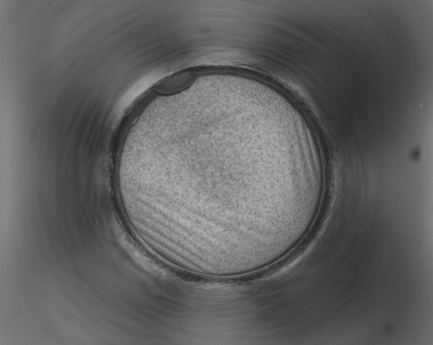 X0000116551114200912311906