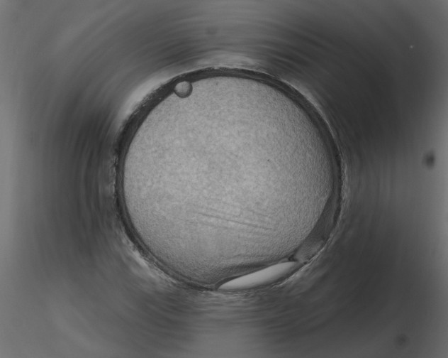 X0000116551115200912311906