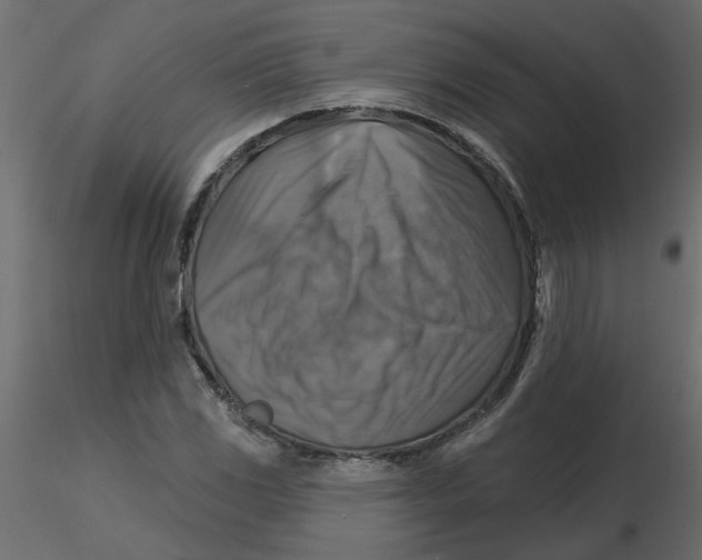 X0000116551117200912311906