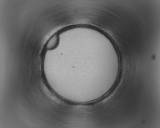 X0000116551118200912311906