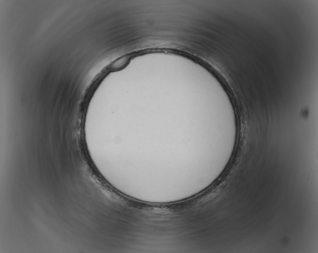 X0000116551119200912311906