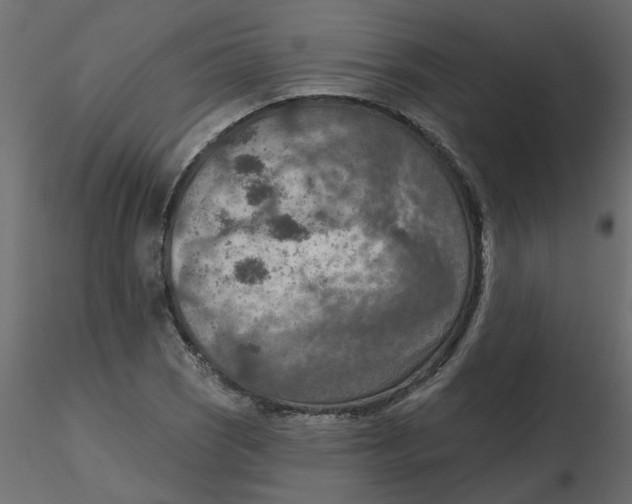 X0000116551121200912311906